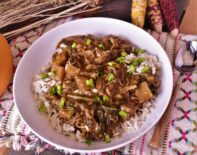 a plate of turkey and fall vegetable stew with green onions and rice