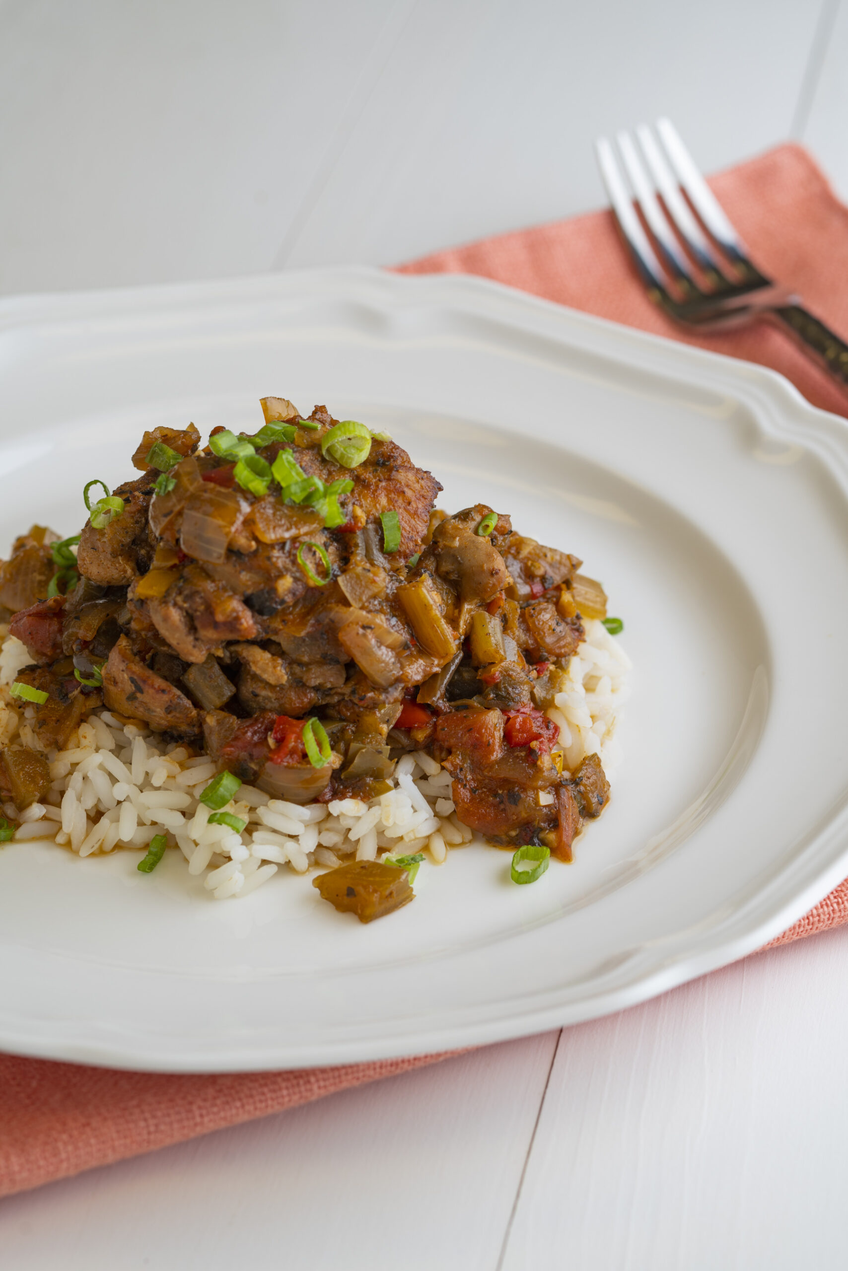 a plate of tomato braised pork chops and rice topped with green onions
