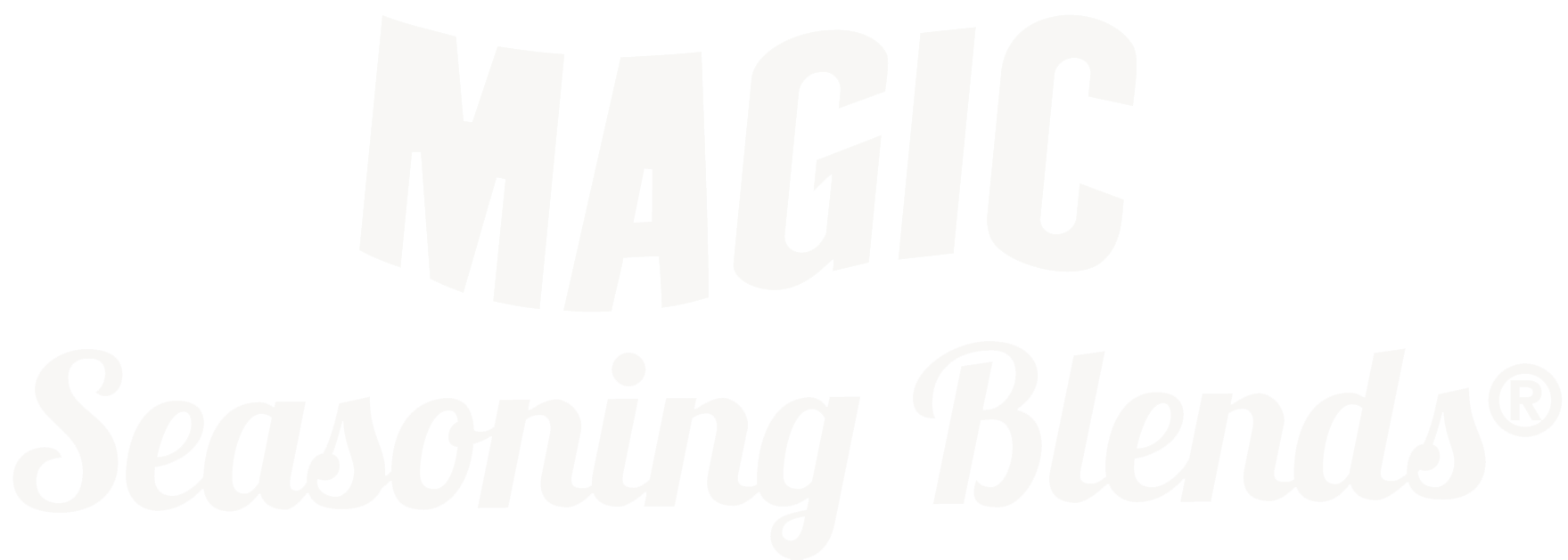 Magic Seasoning Blends